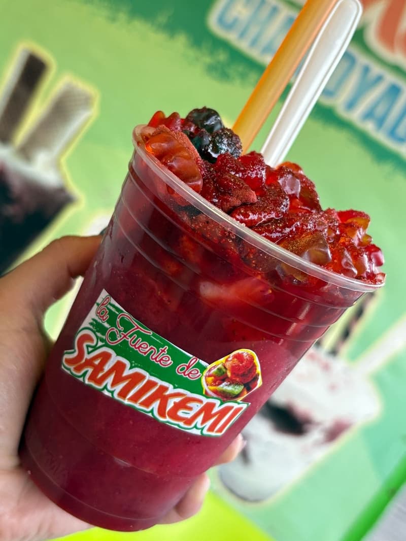 CHAMOYADA FRESA 