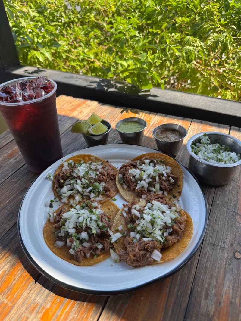Promo birria tacos 