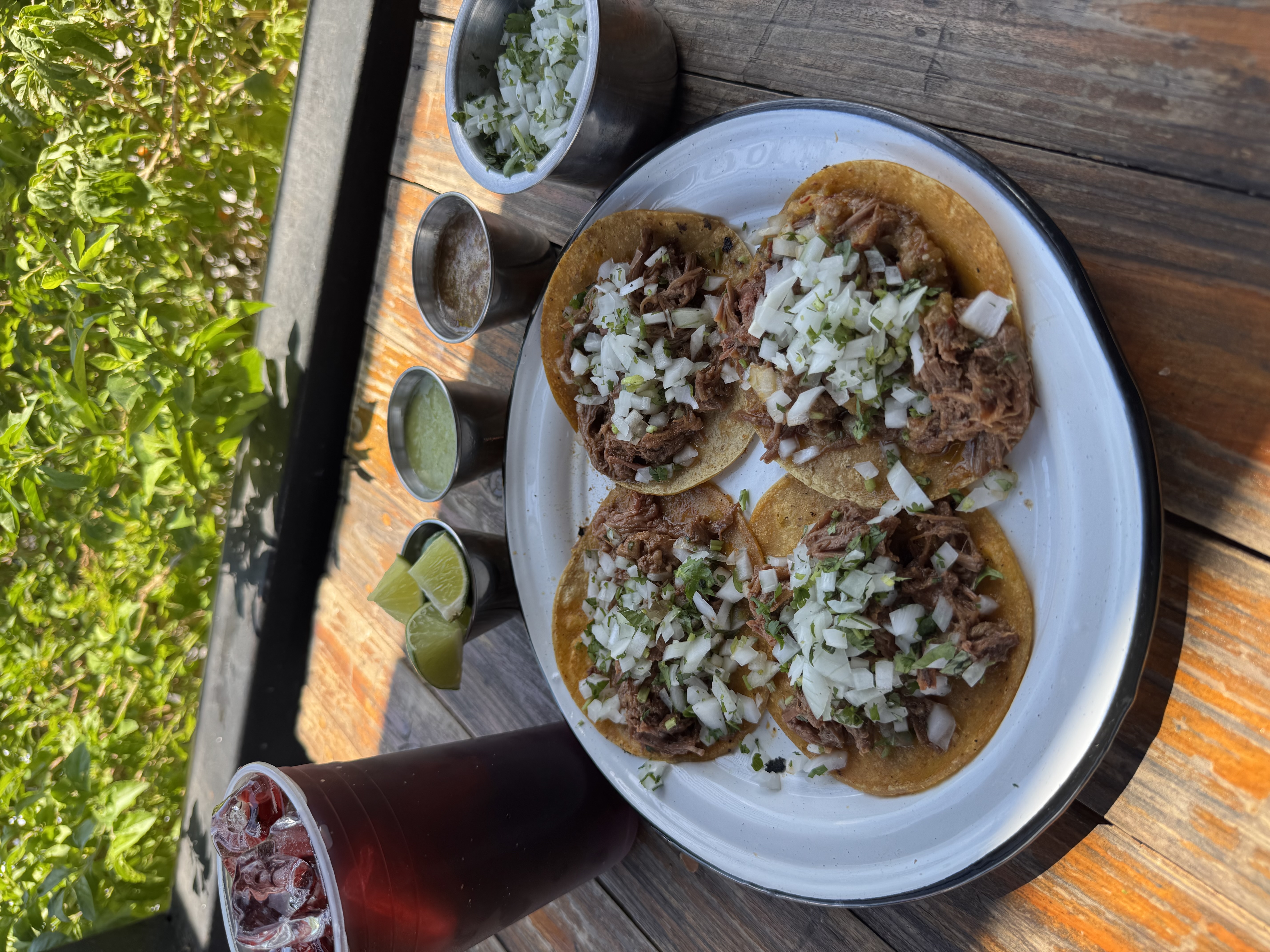 Taco de birria