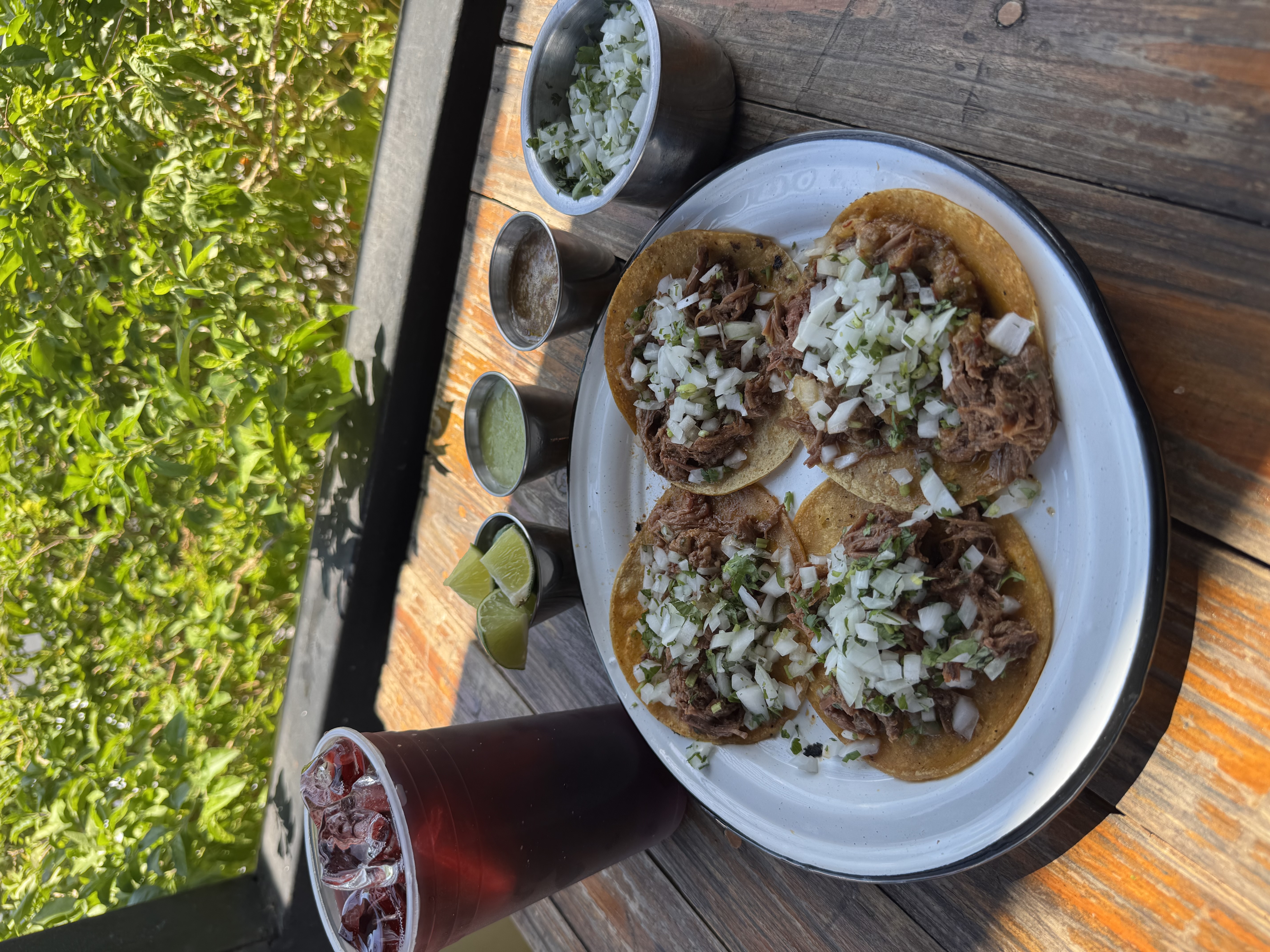 Promo birria tacos